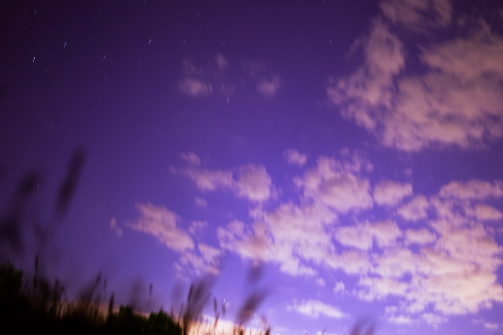 a cloudy sky with trees