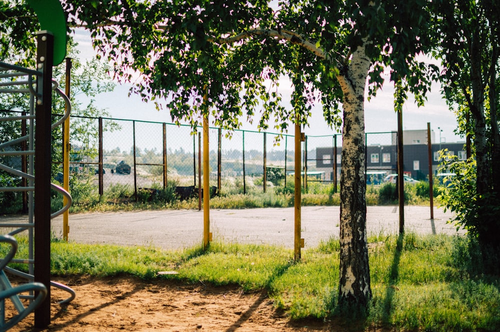 a playground with trees and a fence