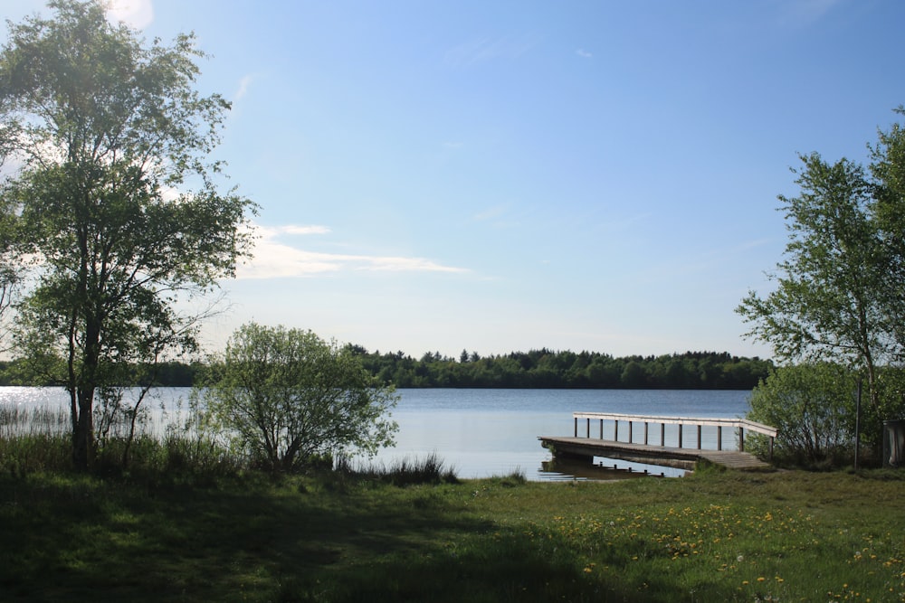 a bench next to a lake