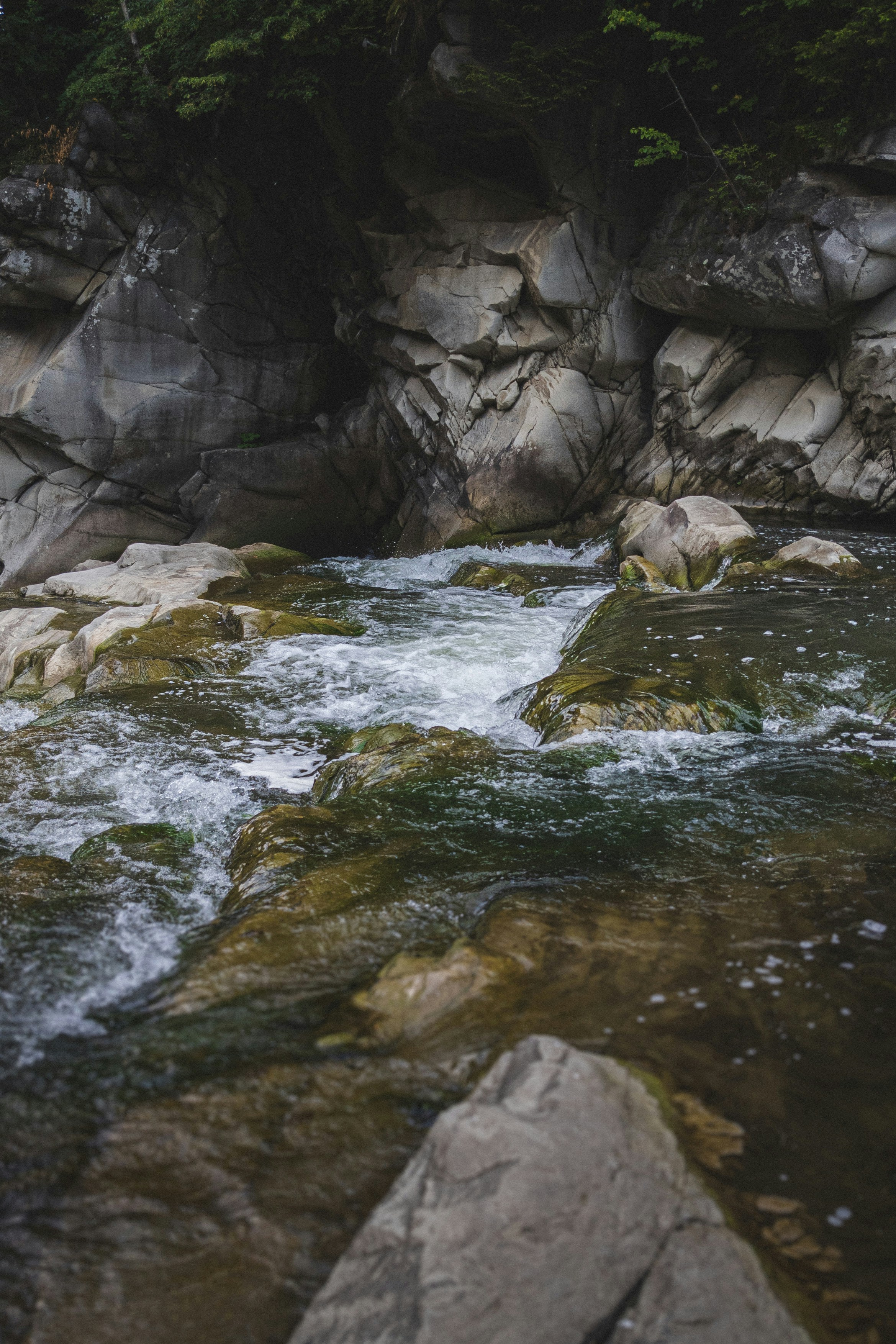 a river with rocks