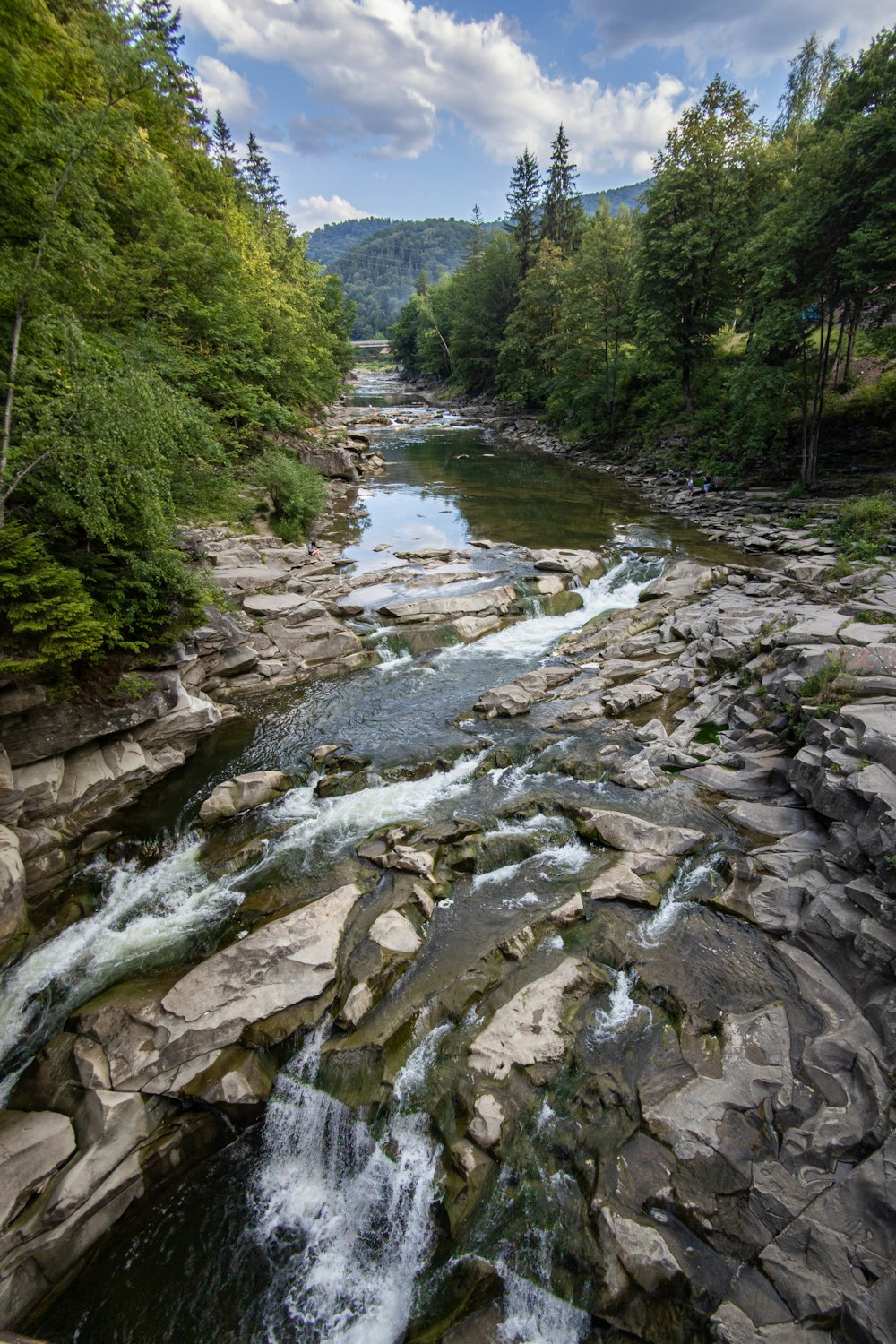 a river with rocks and trees