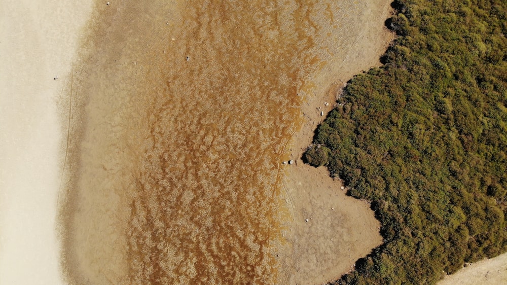 a close up of a rock