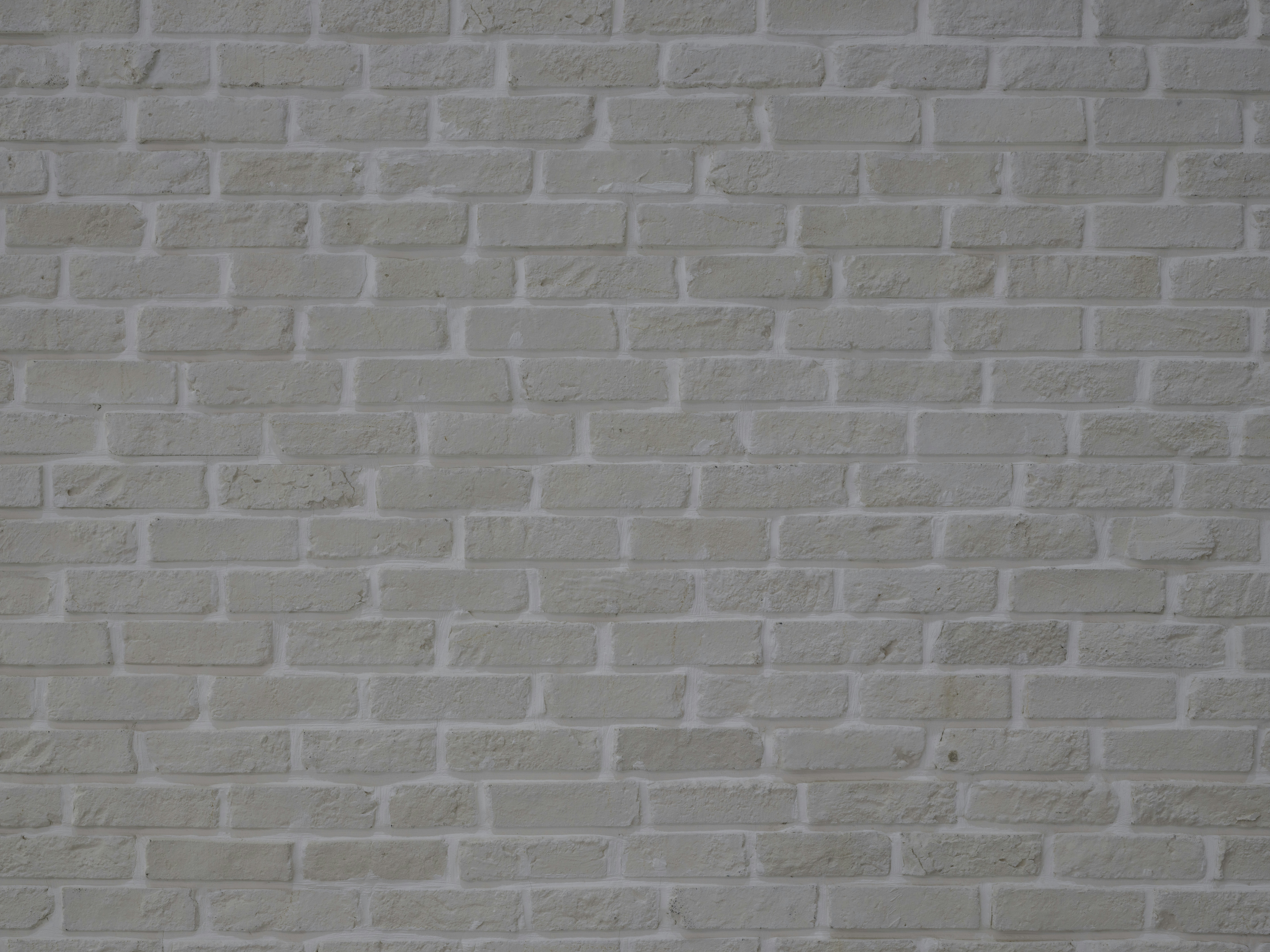 Photo by enginakyurt