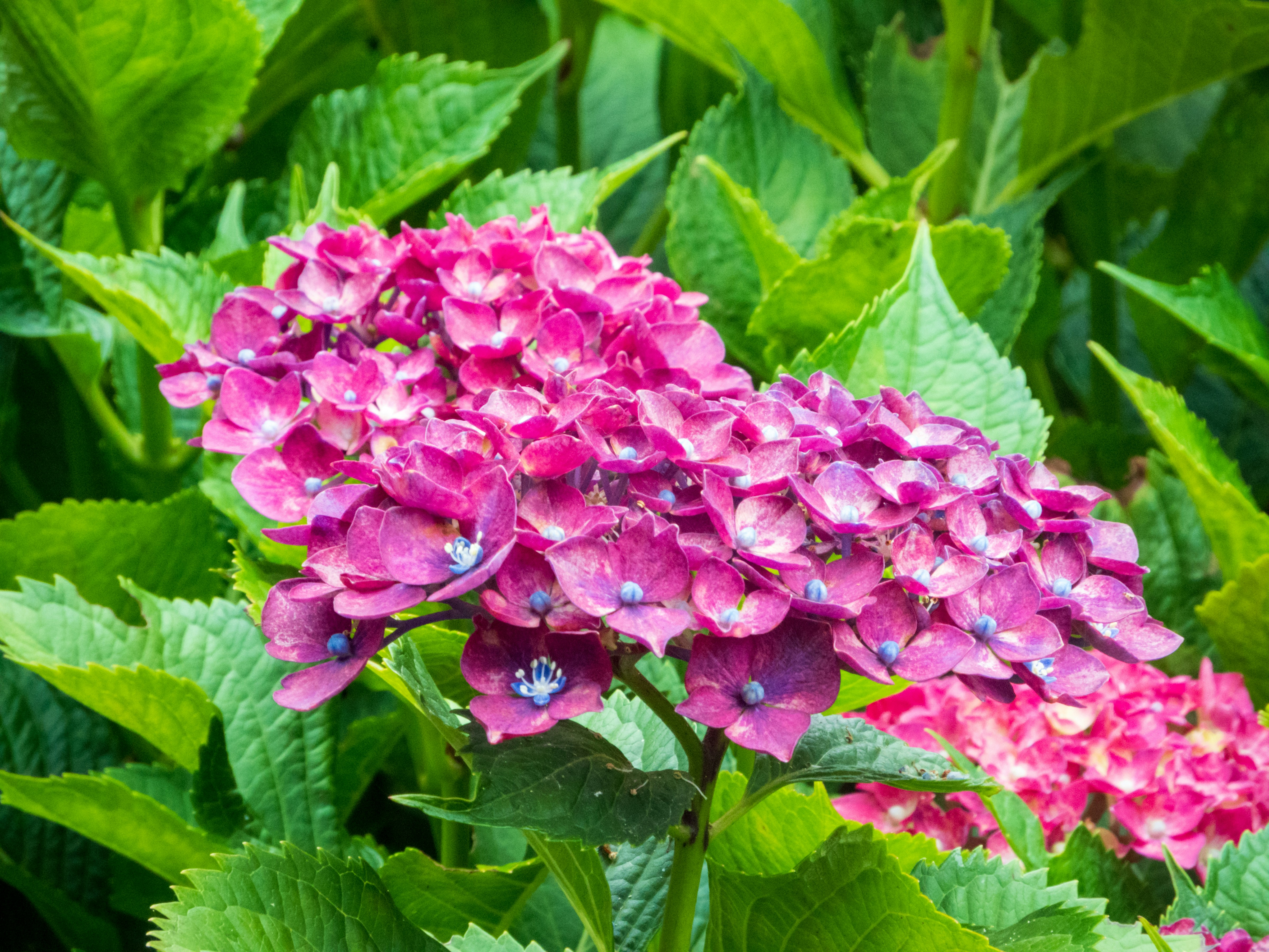 Photo by heppoko_yama