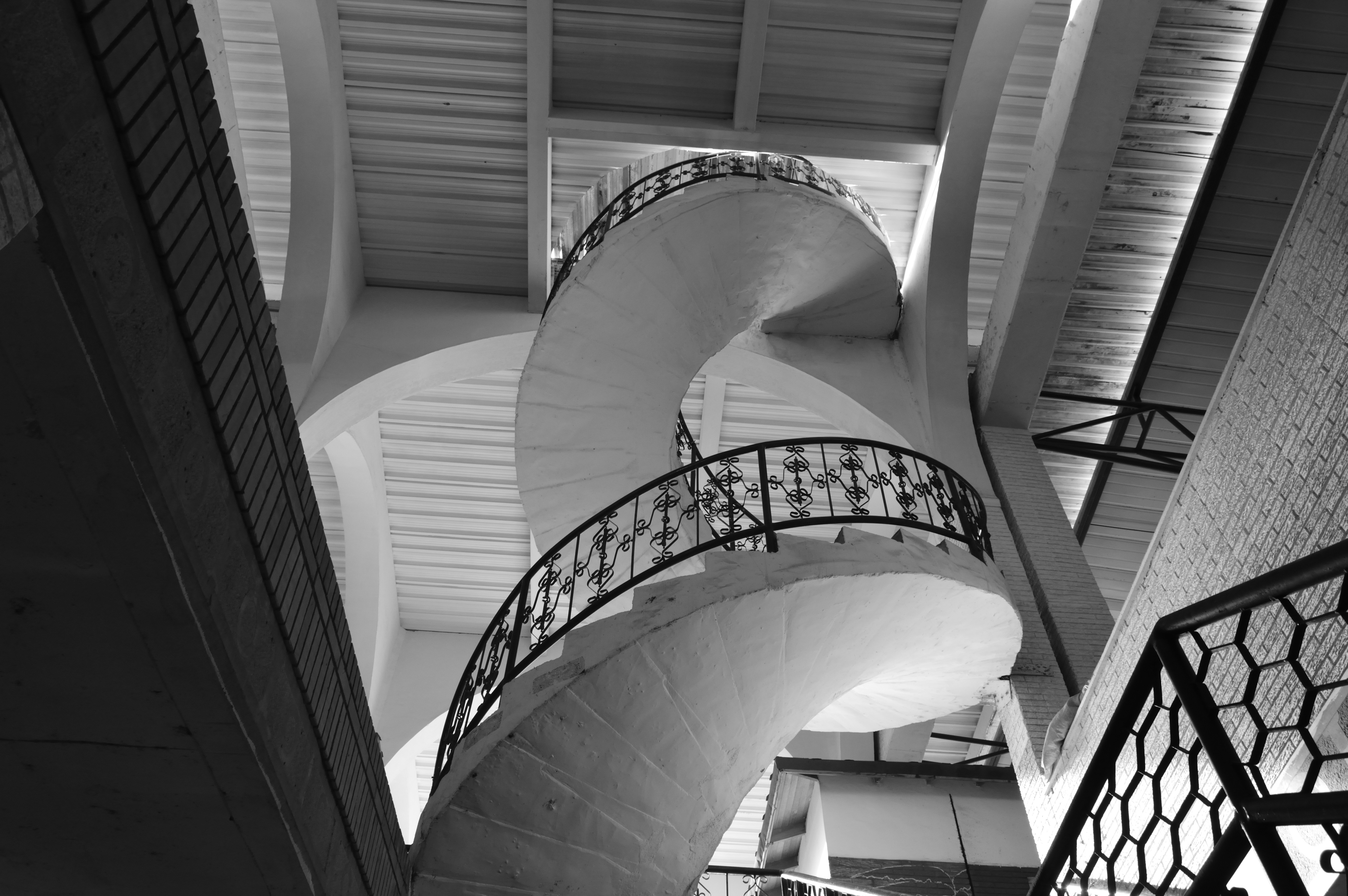 Photo by gosmansaldivia