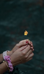 a person holding a flower