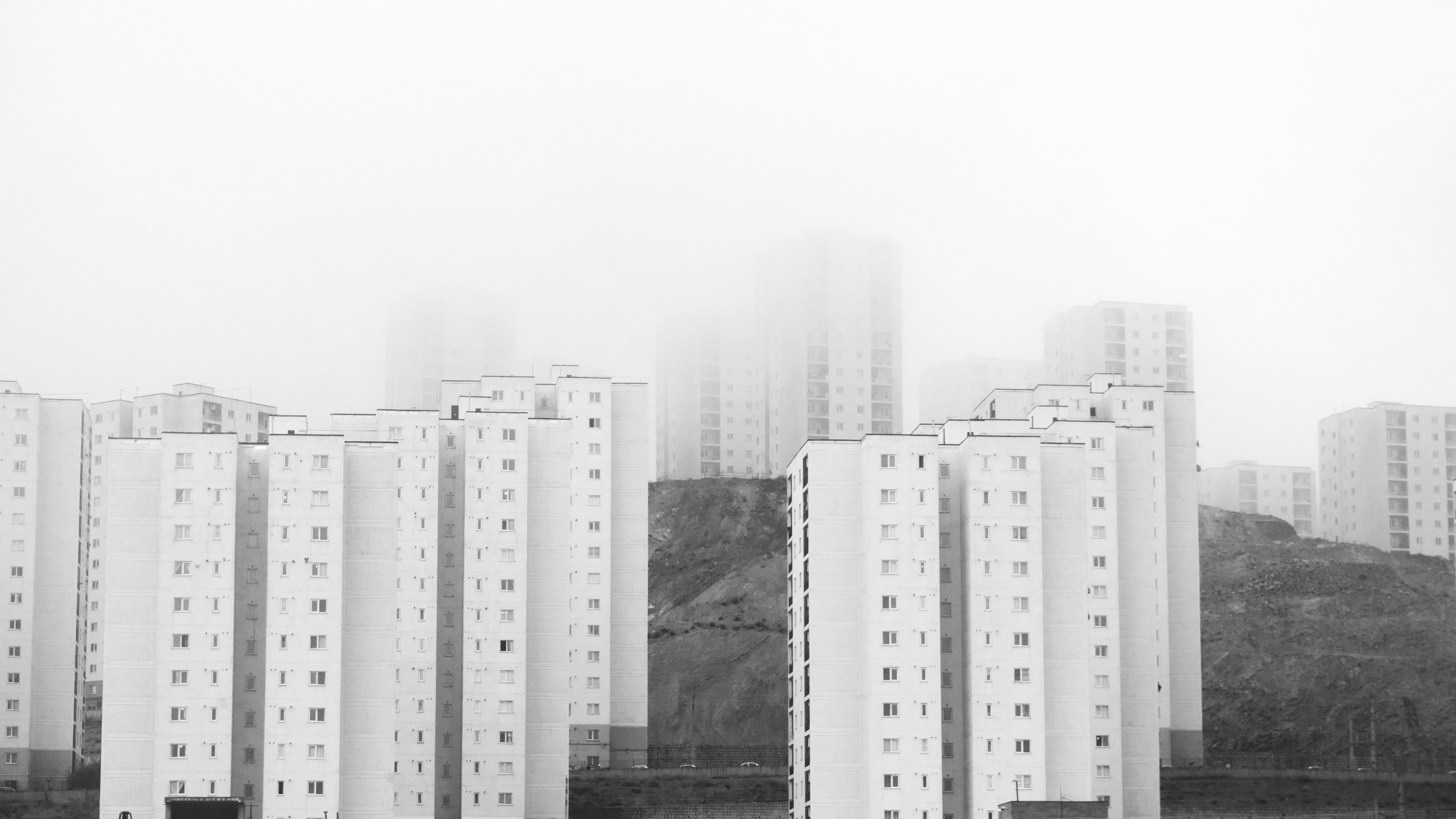 Photo by pouriamarhamat