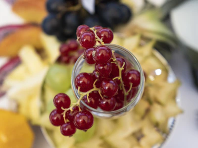A close-up of a glass filled with red currants, surrounded by a variety of colorful fruit slices including grapes, melon, and peaches. The arrangement is artfully presented, highlighting the vibrant colors and textures.