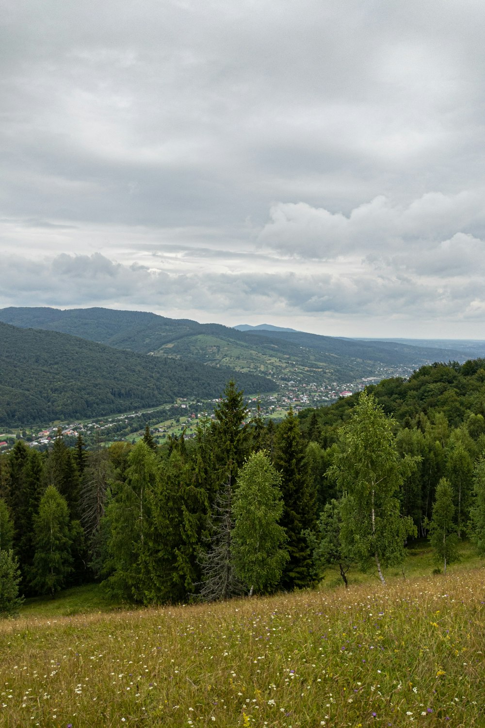 a grassy field with trees and mountains in the background