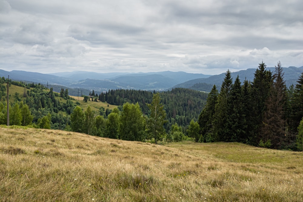 un campo erboso con alberi e montagne sullo sfondo