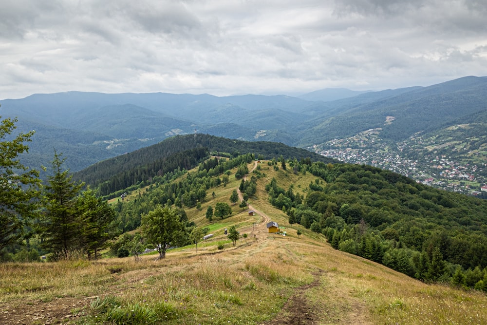 a grassy hill with trees and mountains in the background