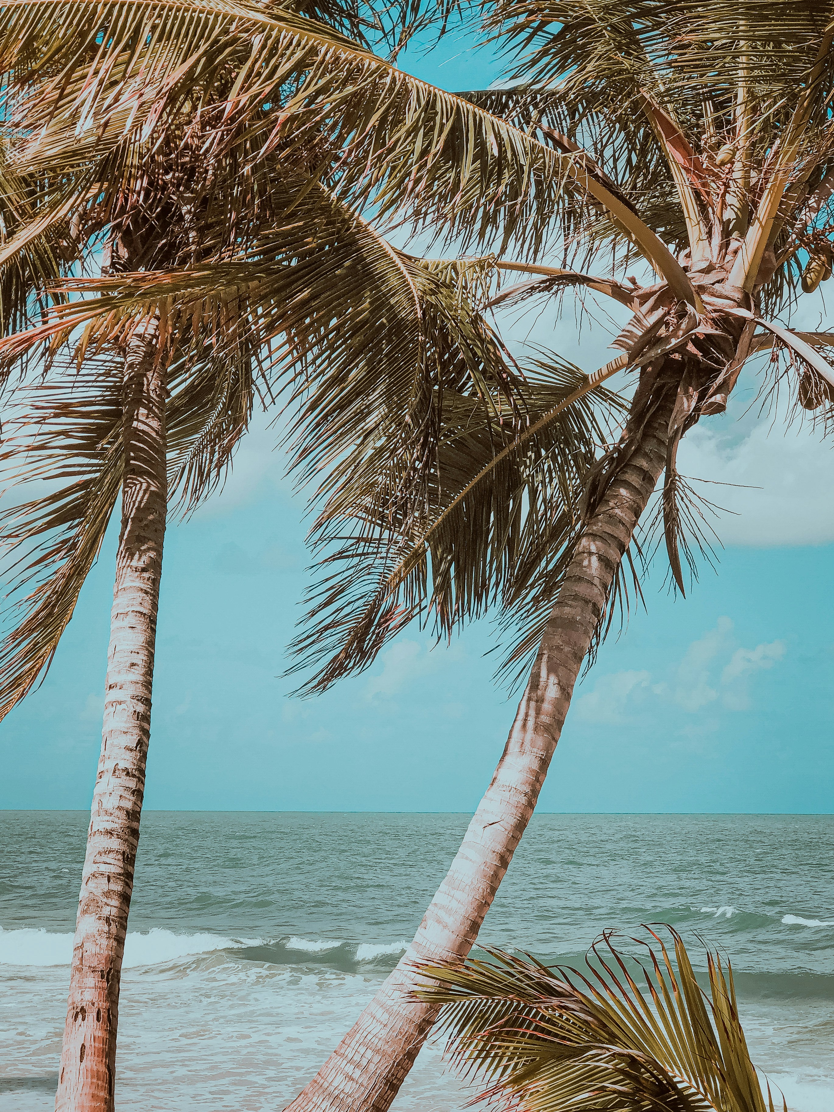 Photo by pedrobrands_