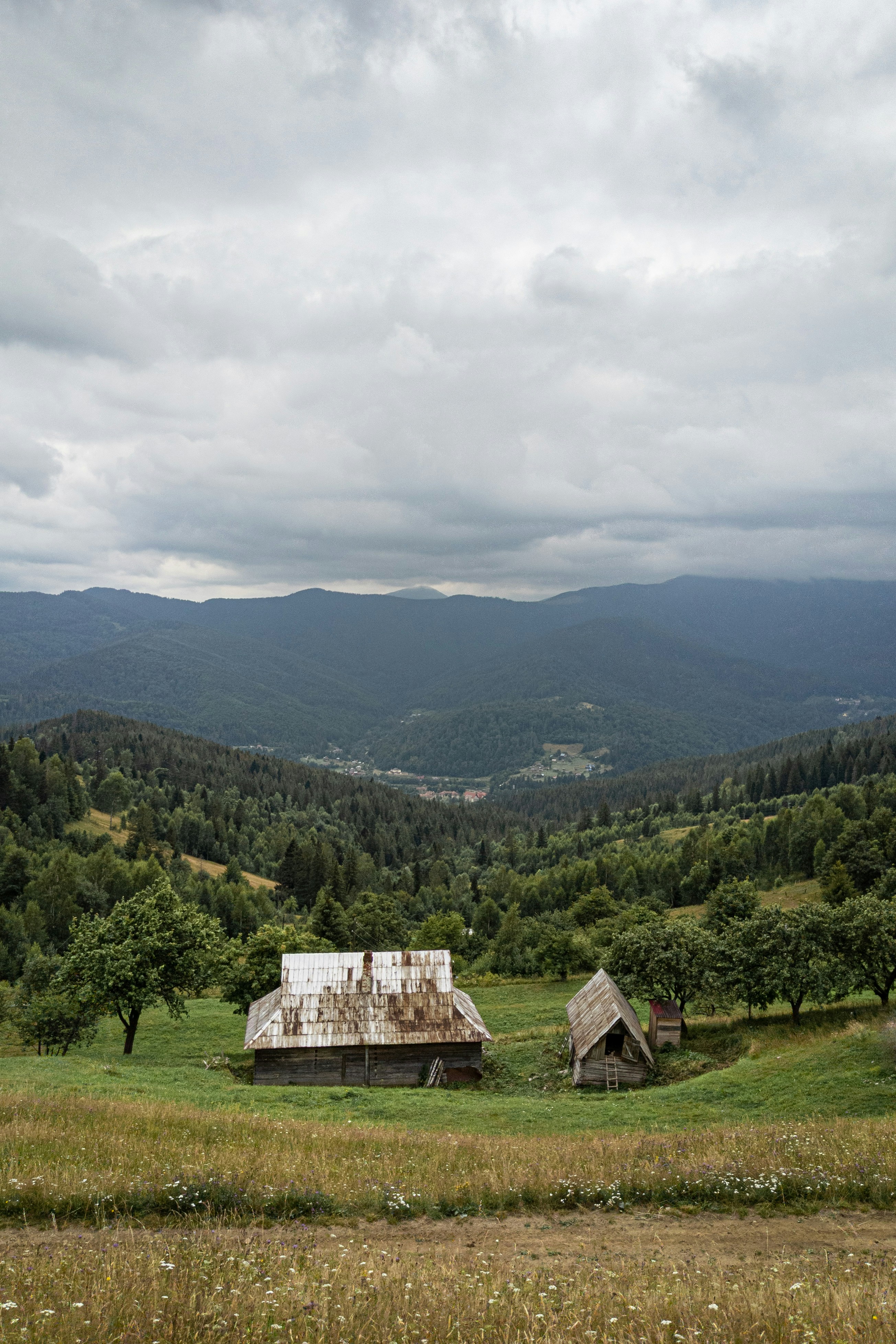 Photo by stenedit