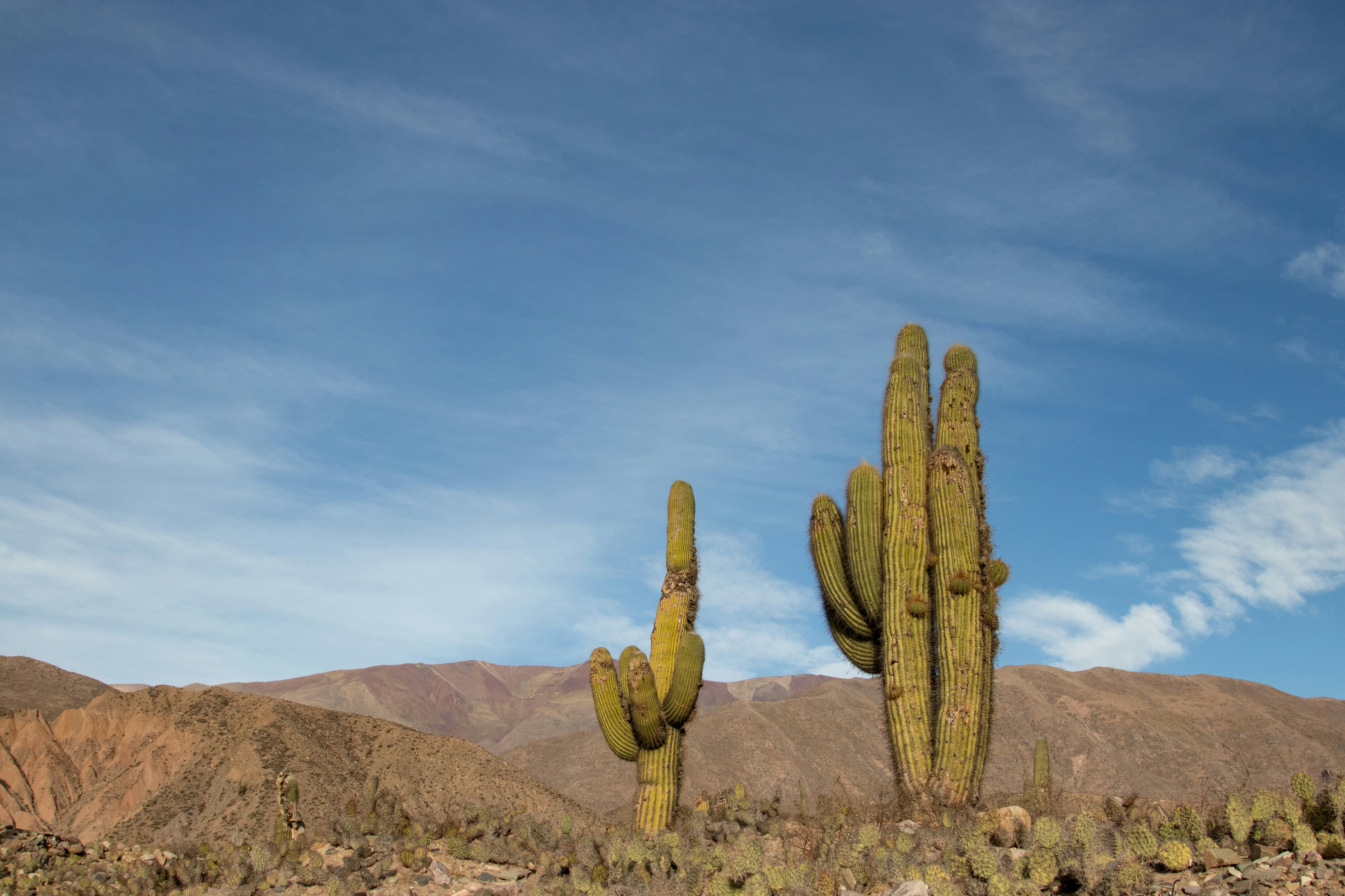 Photo by sonianadales