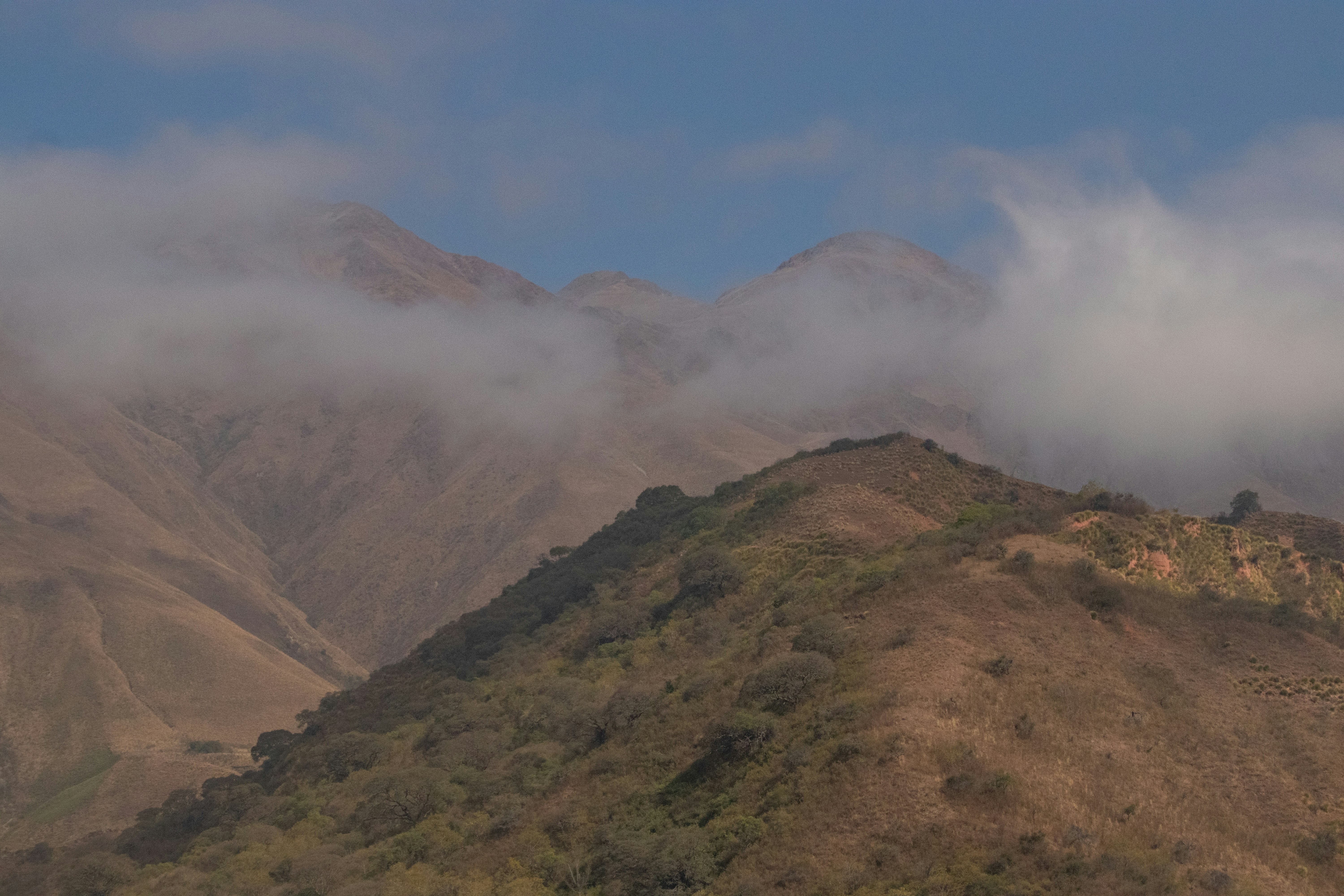 Photo by sonianadales