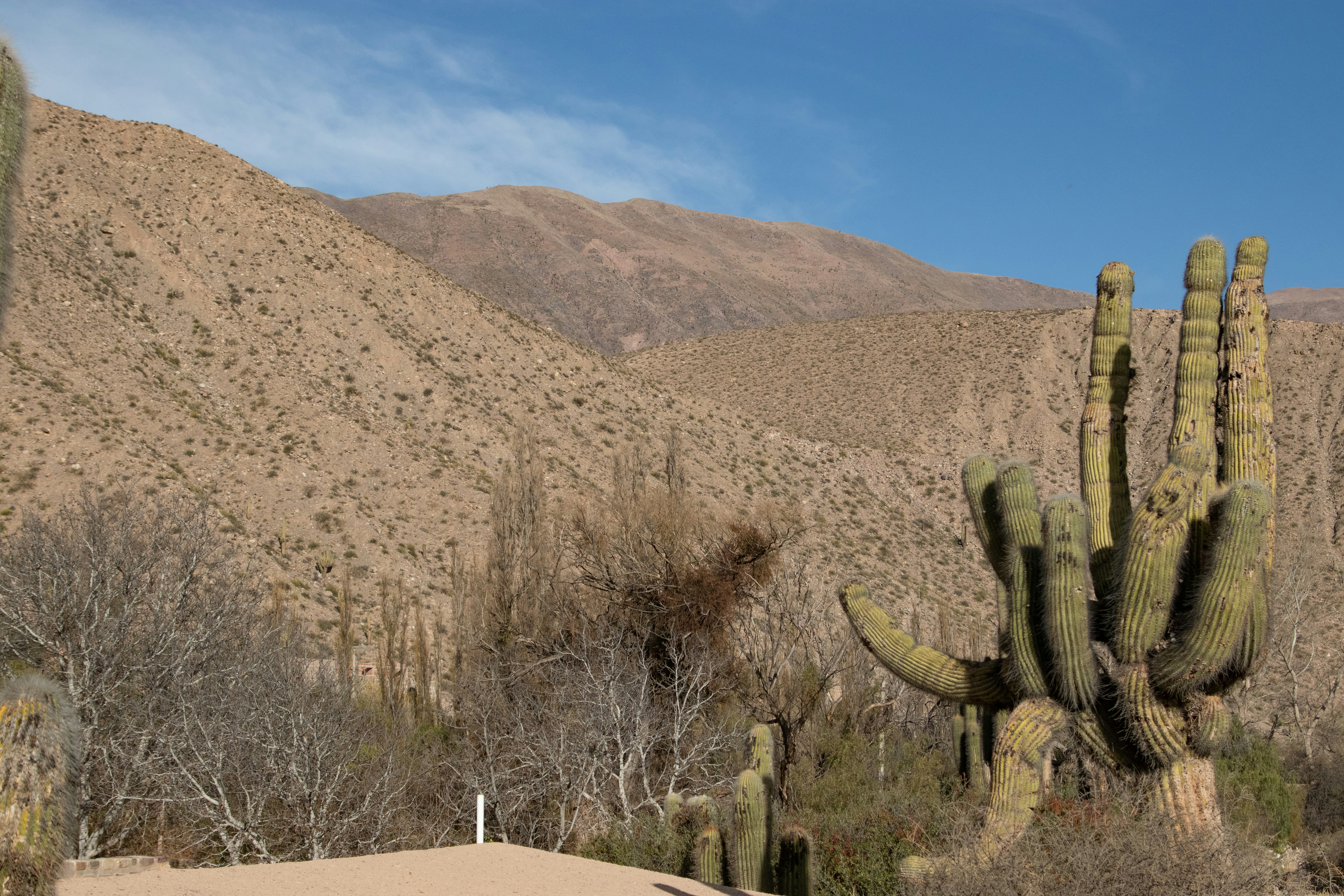 Photo by sonianadales