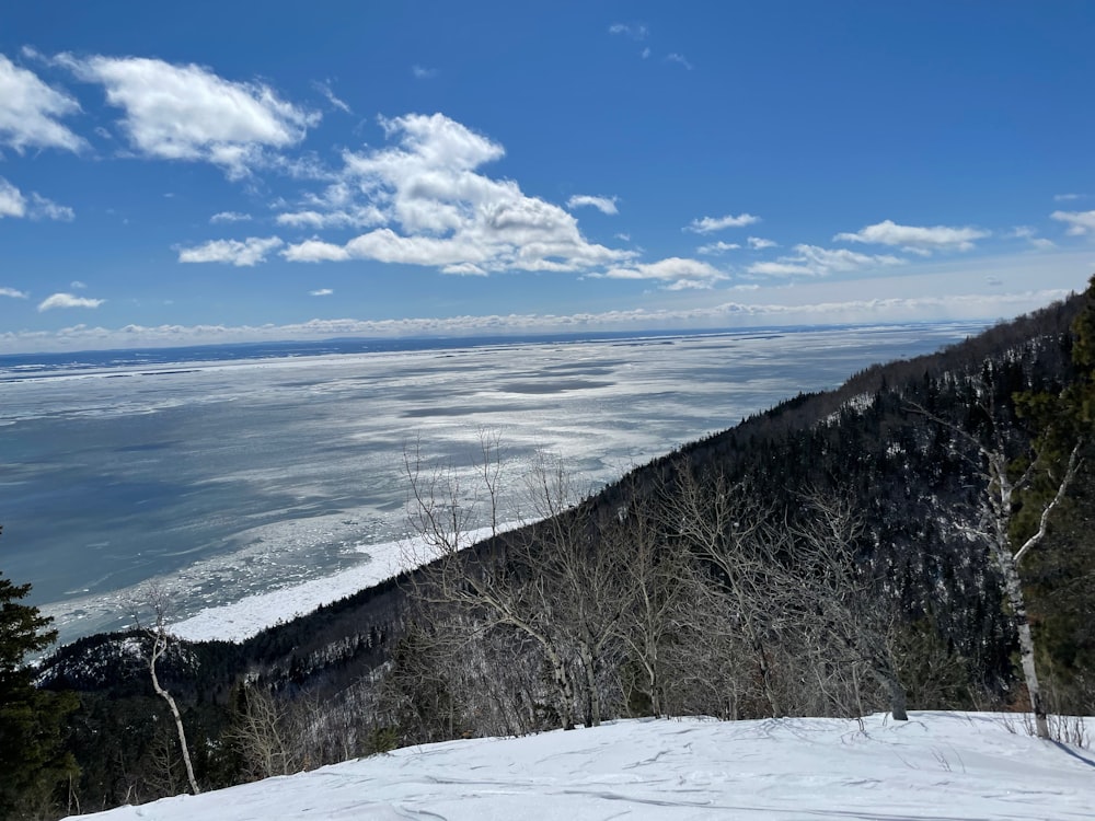 una montaña nevada con árboles y un cuerpo de agua debajo