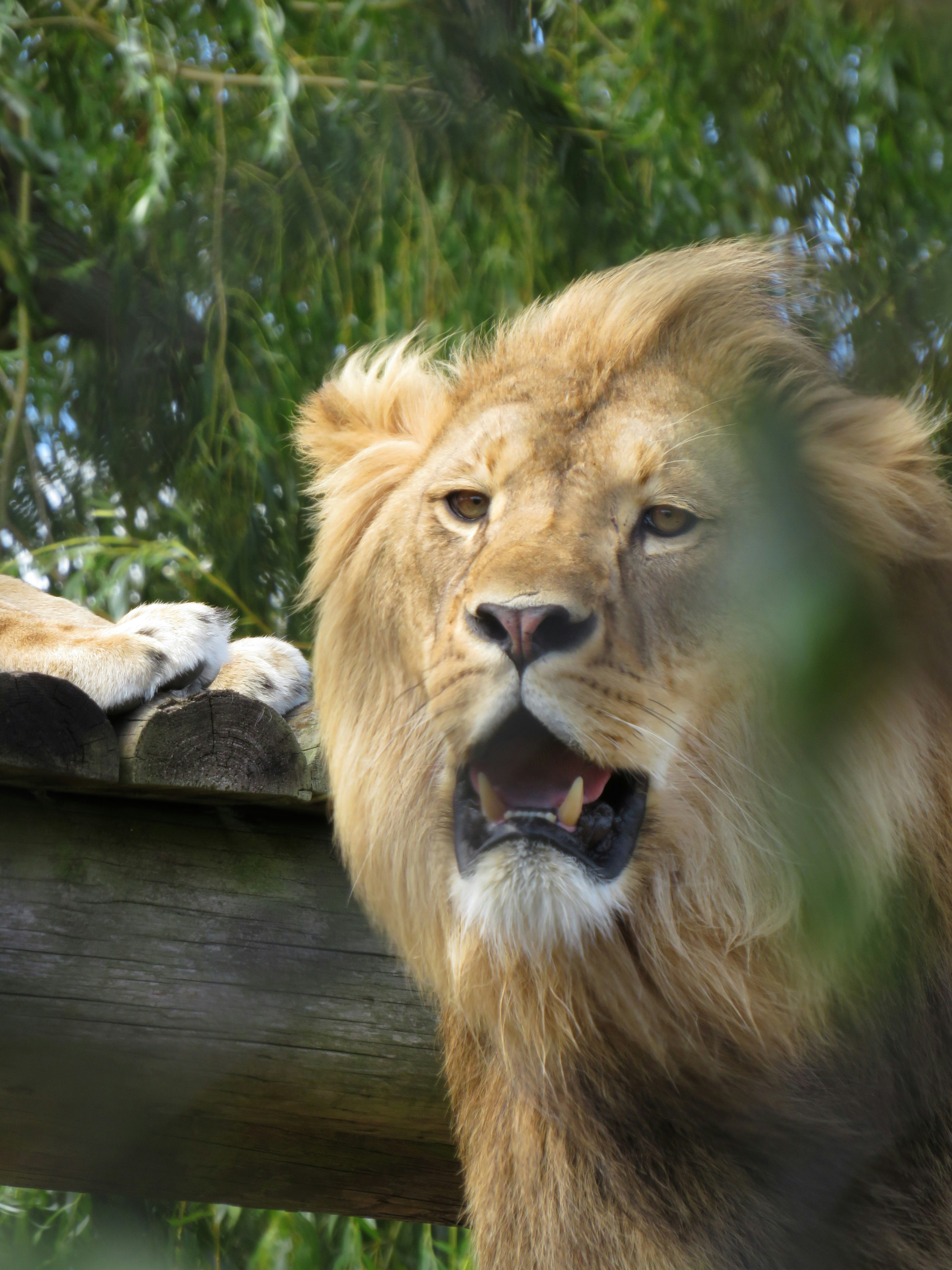 Photo by staceyhfc10