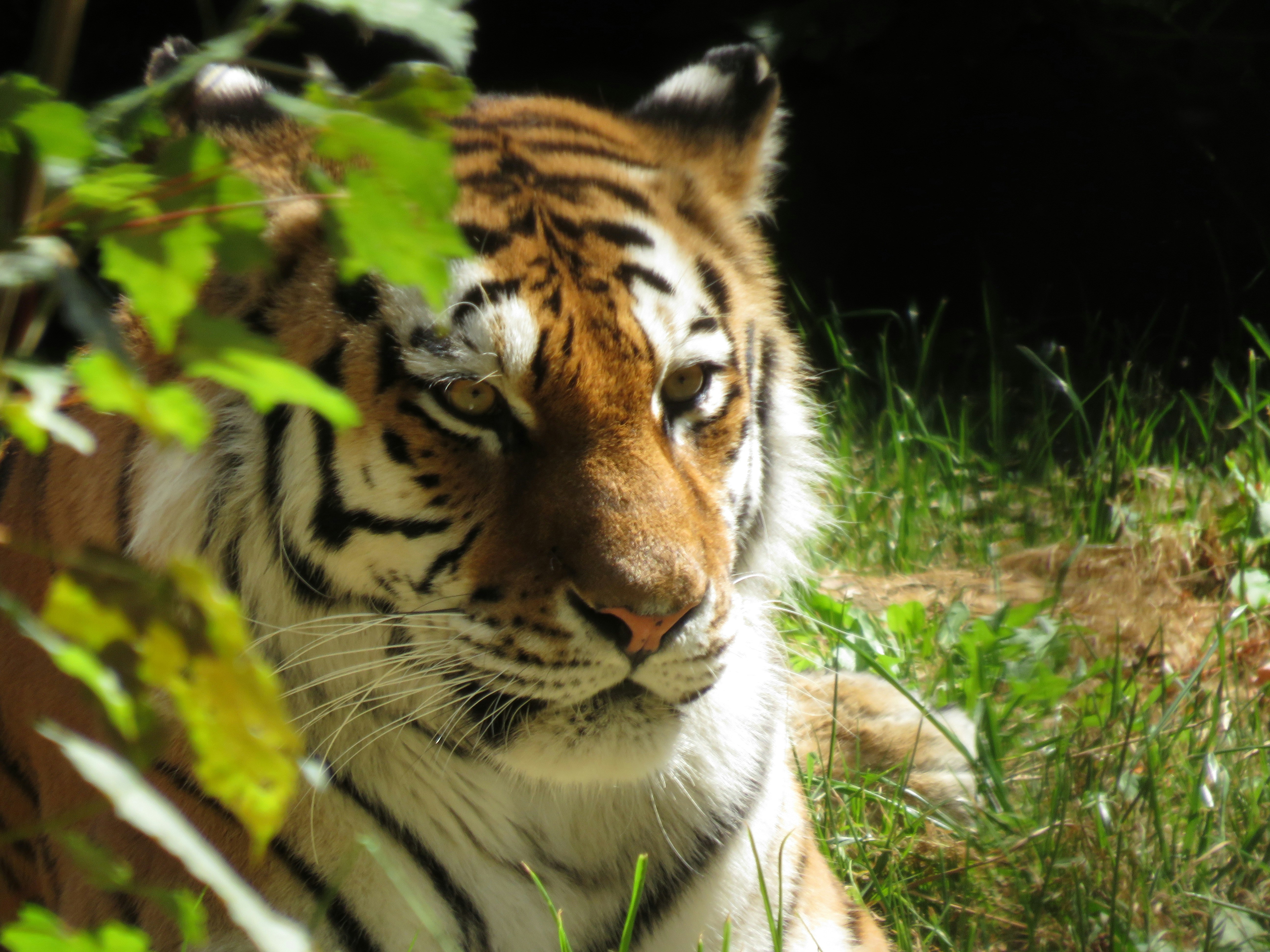 Photo by staceyhfc10