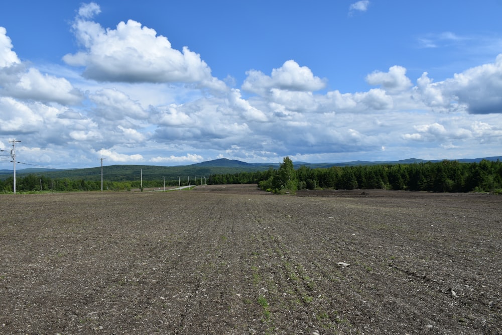 a large field with trees in it