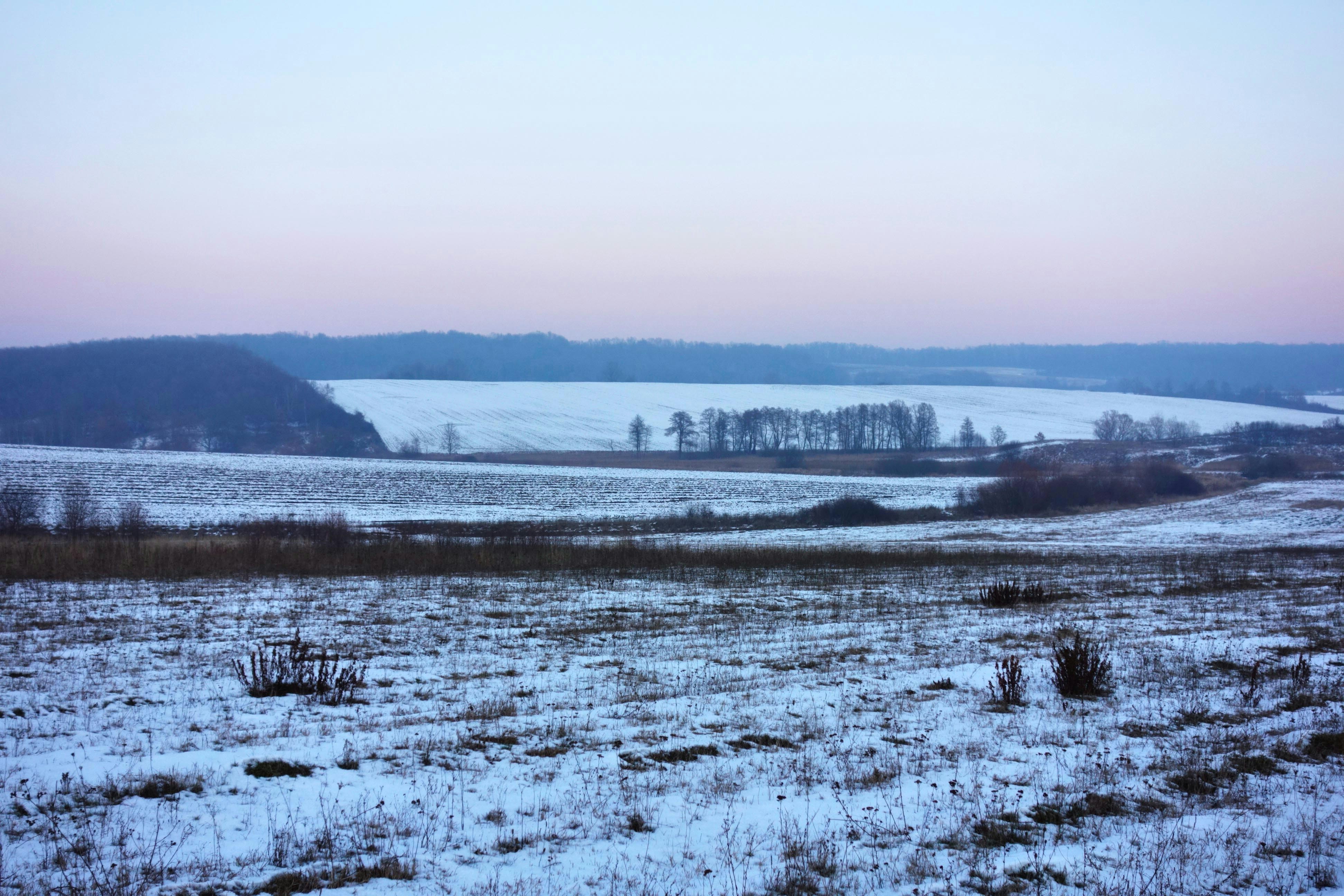 Photo by vitdrugoon