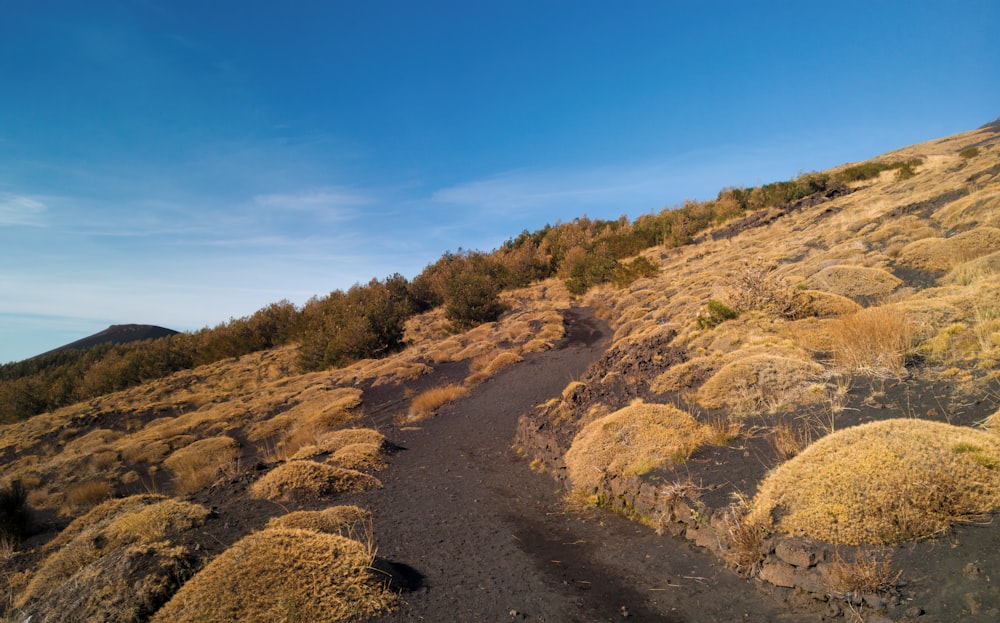 a dirt road in the mountains