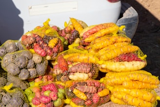 a pile of colorful pineapples