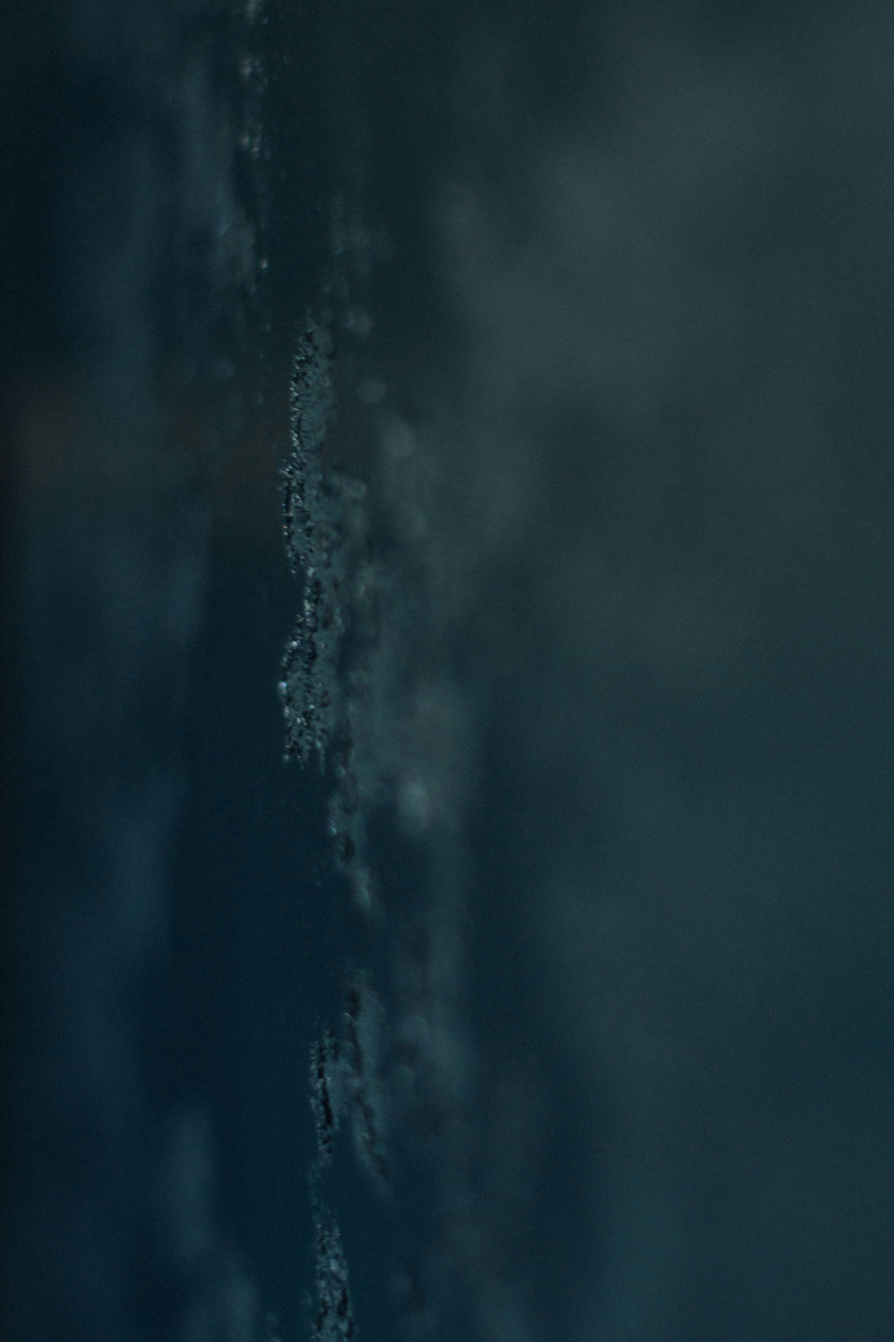 Photo by yulia_dubyna