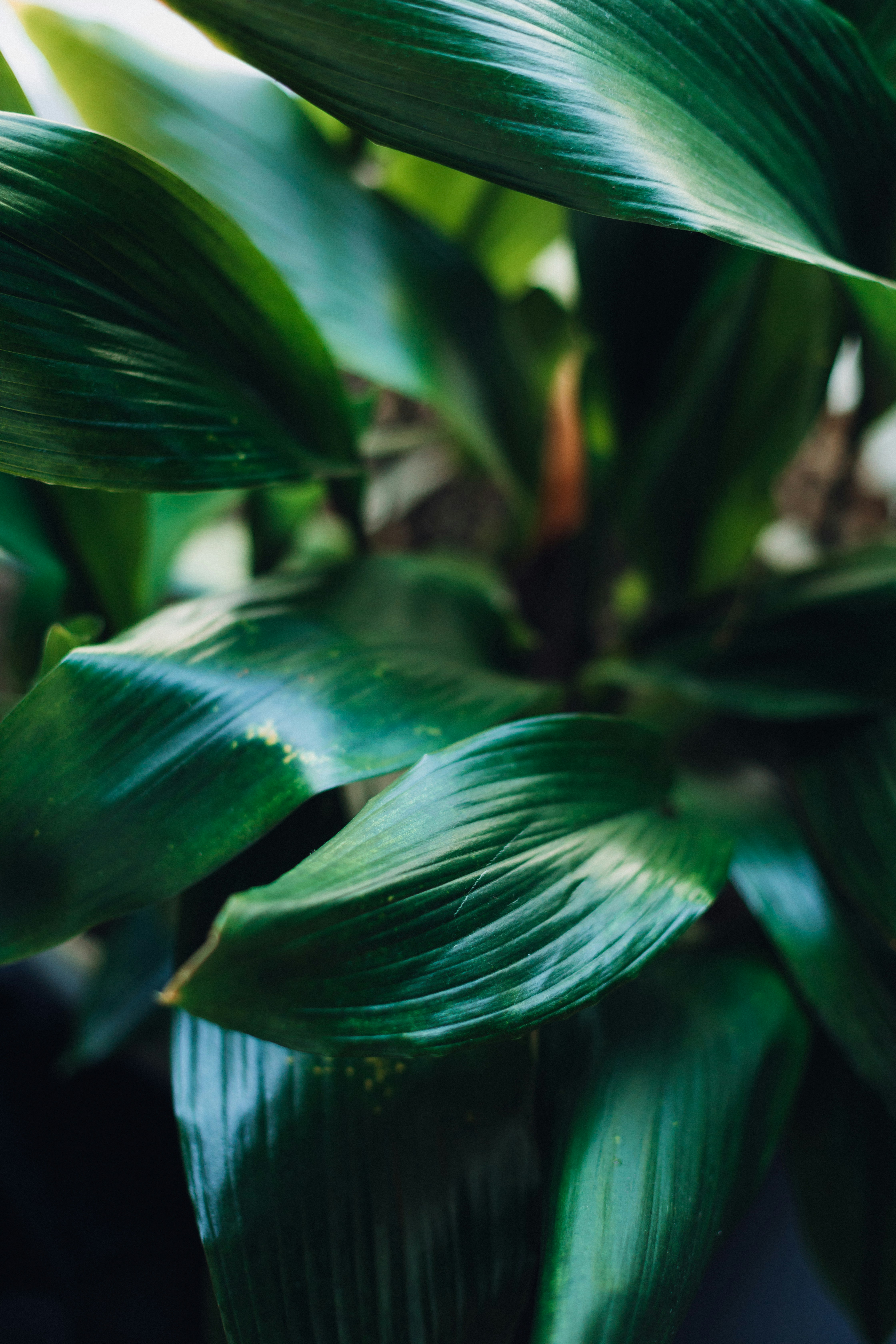 Photo by yulia_dubyna