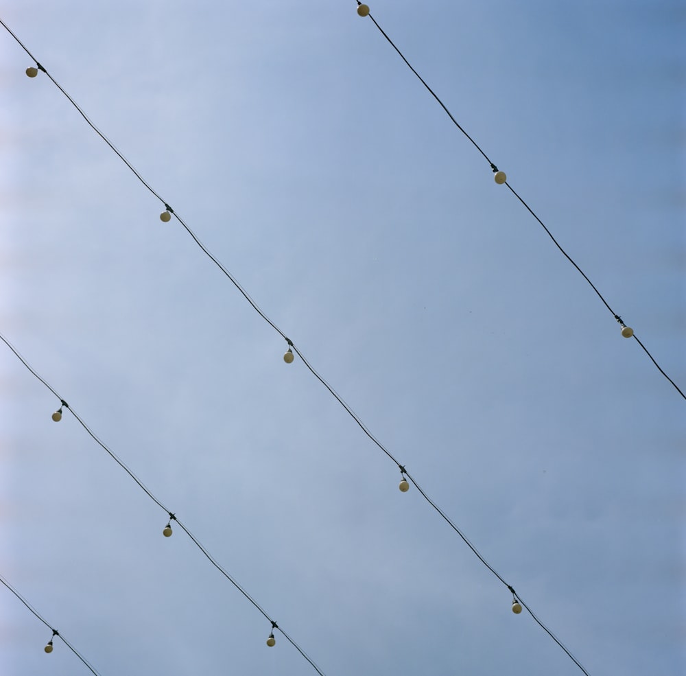 a group of people on a cable