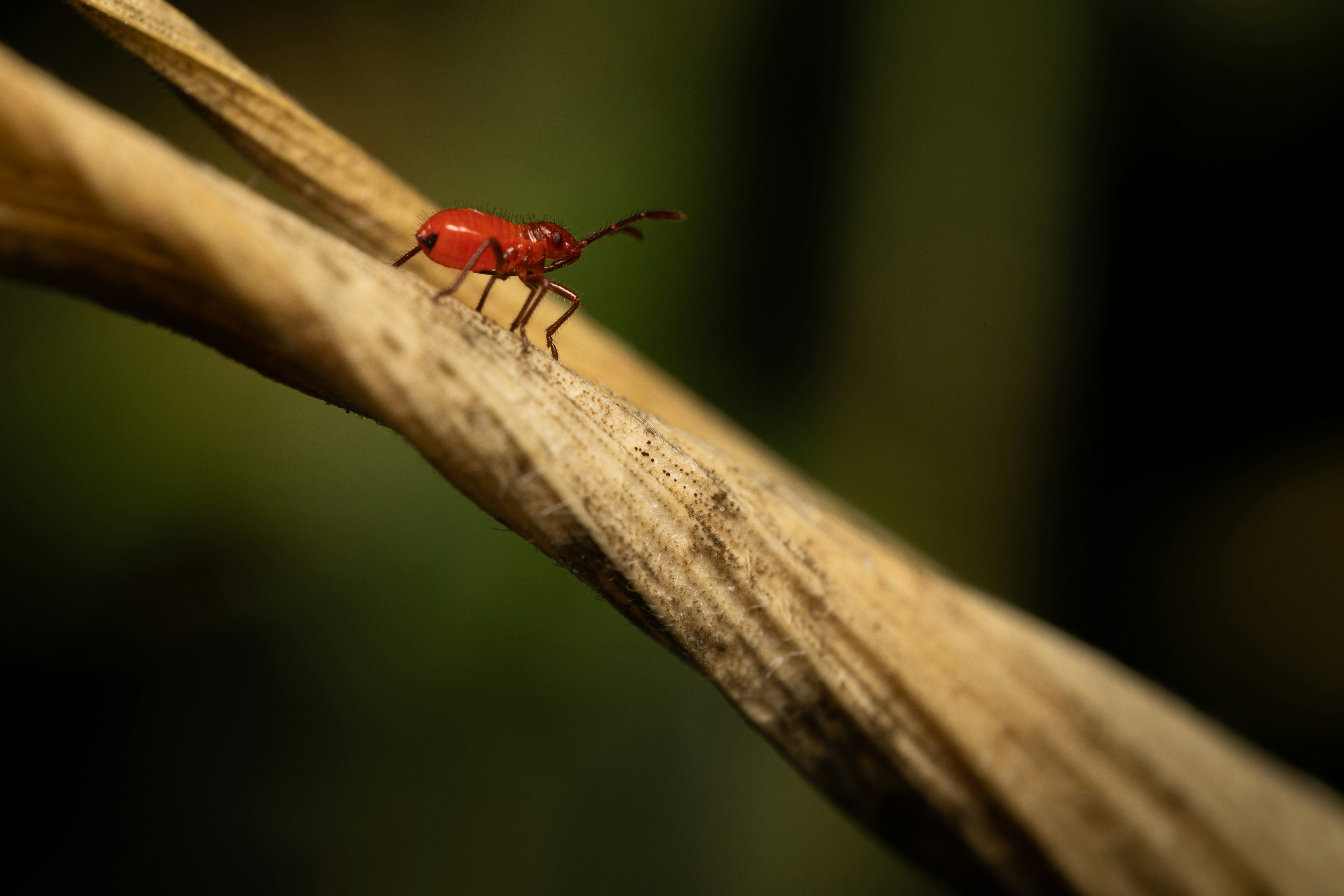 Photo by lukewarmsmore