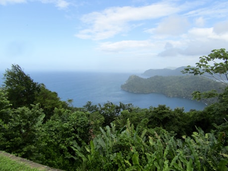 A scenic view of a lush green landscape in Mayotte, showcasing the vibrant flora and a glimpse of the ocean in the background.