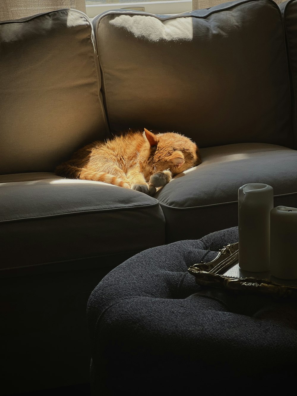 un gatto sdraiato su un divano