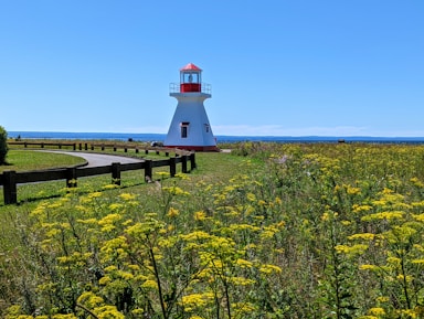 a lighthouse in a field