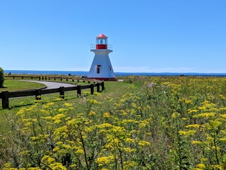 a lighthouse in a field