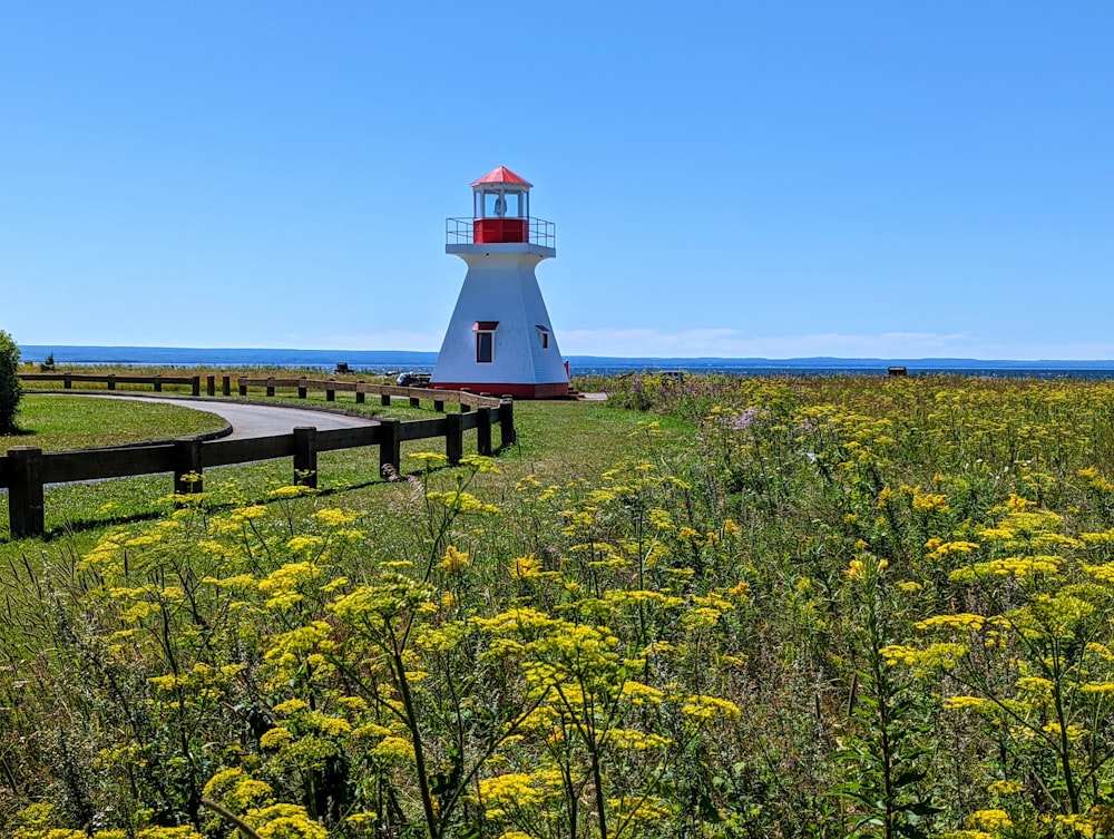 a lighthouse in a field