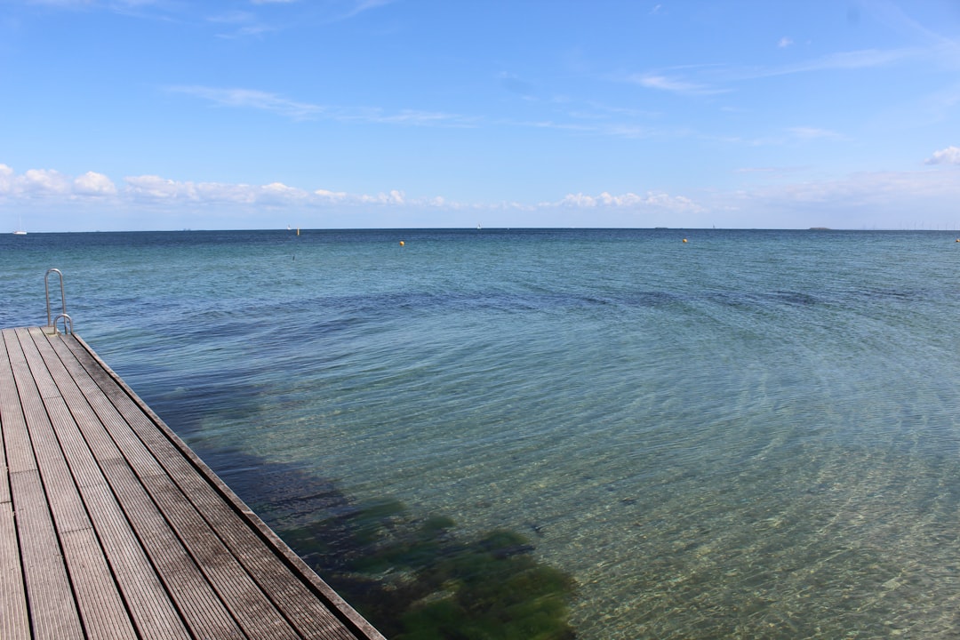 a wood dock over a body of water,