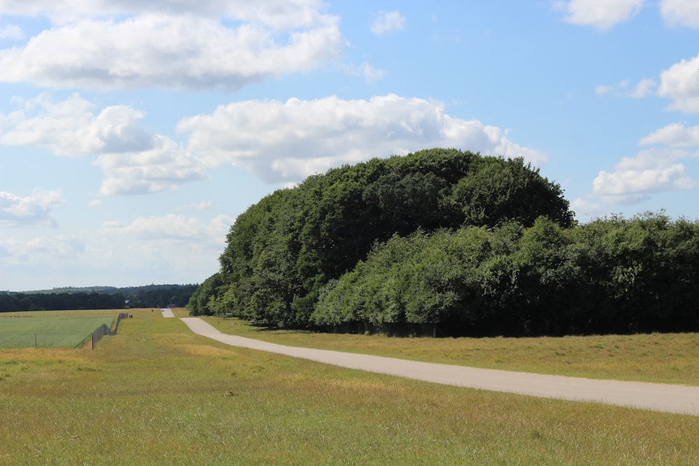 a road with trees on the side