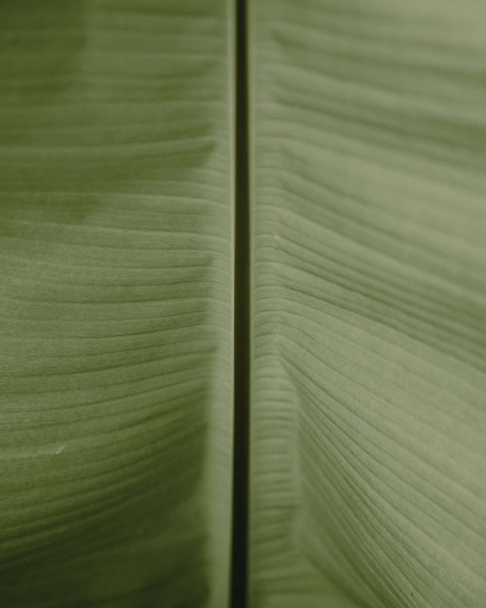 a close up of a green fabric