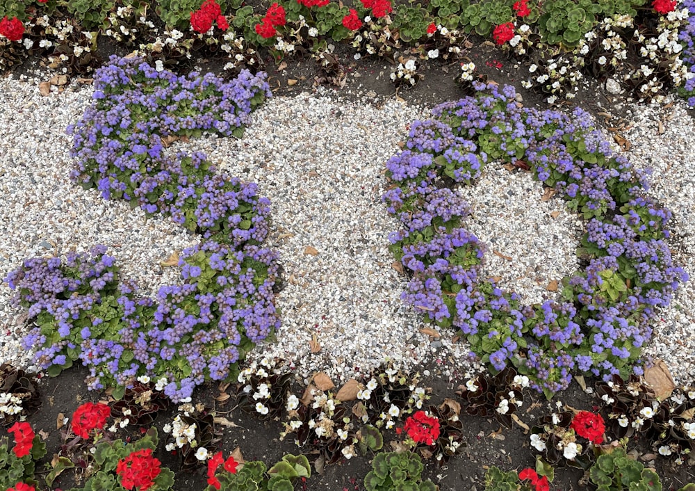 Un grupo de flores