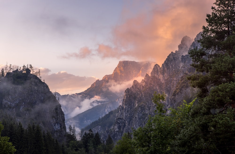 a mountain range with trees