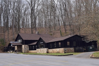 A rustic building with a dark wooden exterior stands at the edge of a wooded area. The structure features multiple pitched roofs, stone foundations, and signs indicating an entrance and a rock shop. Bare trees with thin trunks surround the building, suggesting a late autumn or early winter setting.