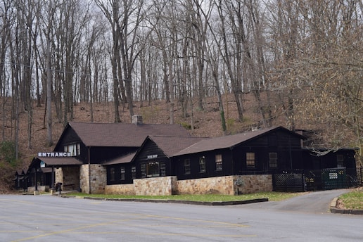 A rustic building with a dark wooden exterior stands at the edge of a wooded area. The structure features multiple pitched roofs, stone foundations, and signs indicating an entrance and a rock shop. Bare trees with thin trunks surround the building, suggesting a late autumn or early winter setting.