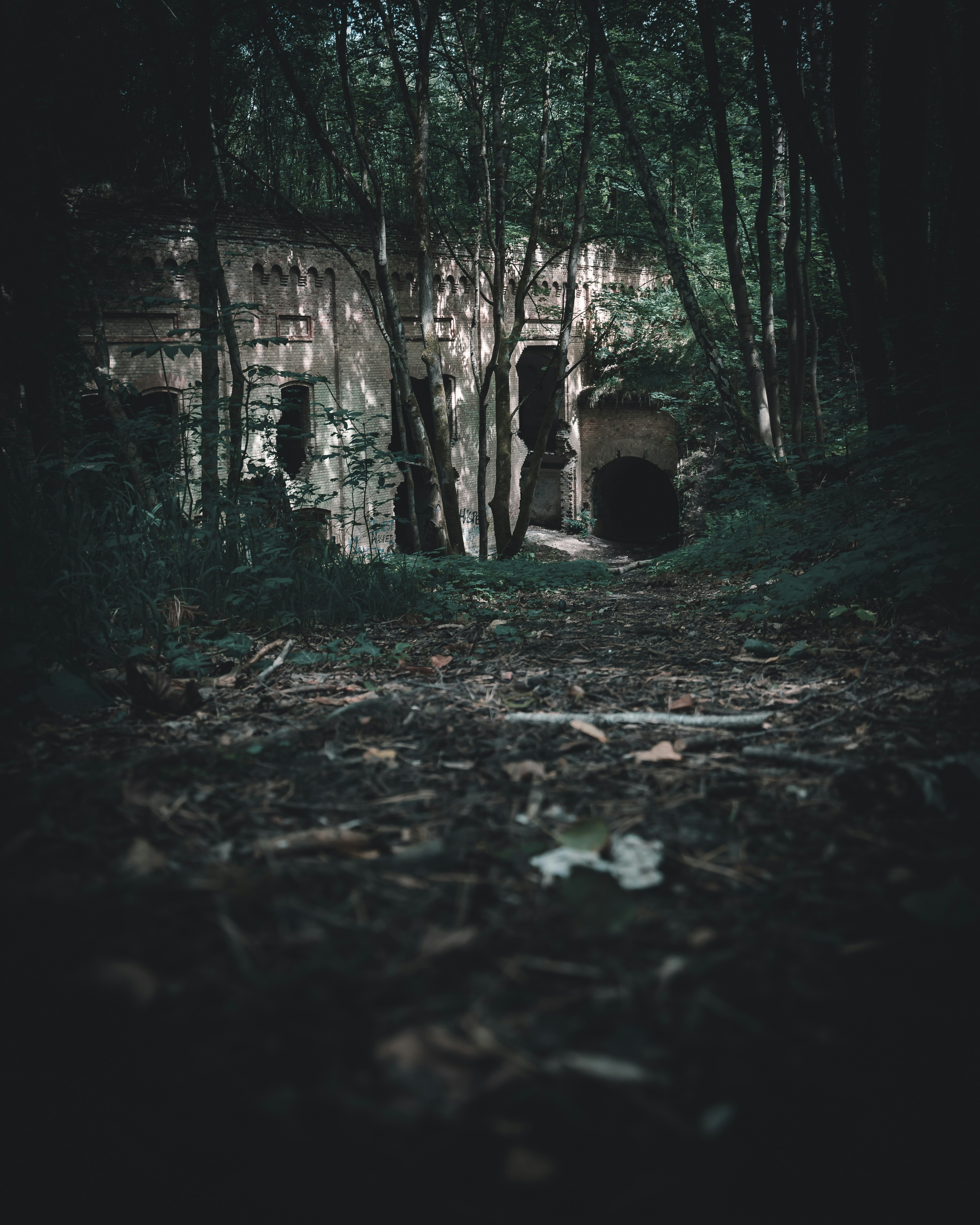 Photo by pankielek