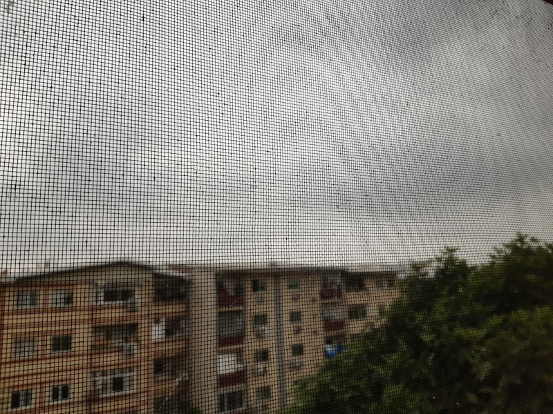 Apartment Flyscreens