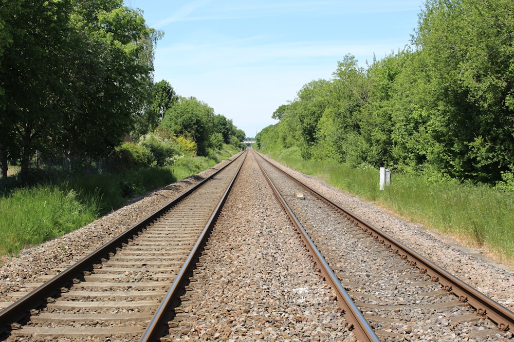 train tracks with trees on either side