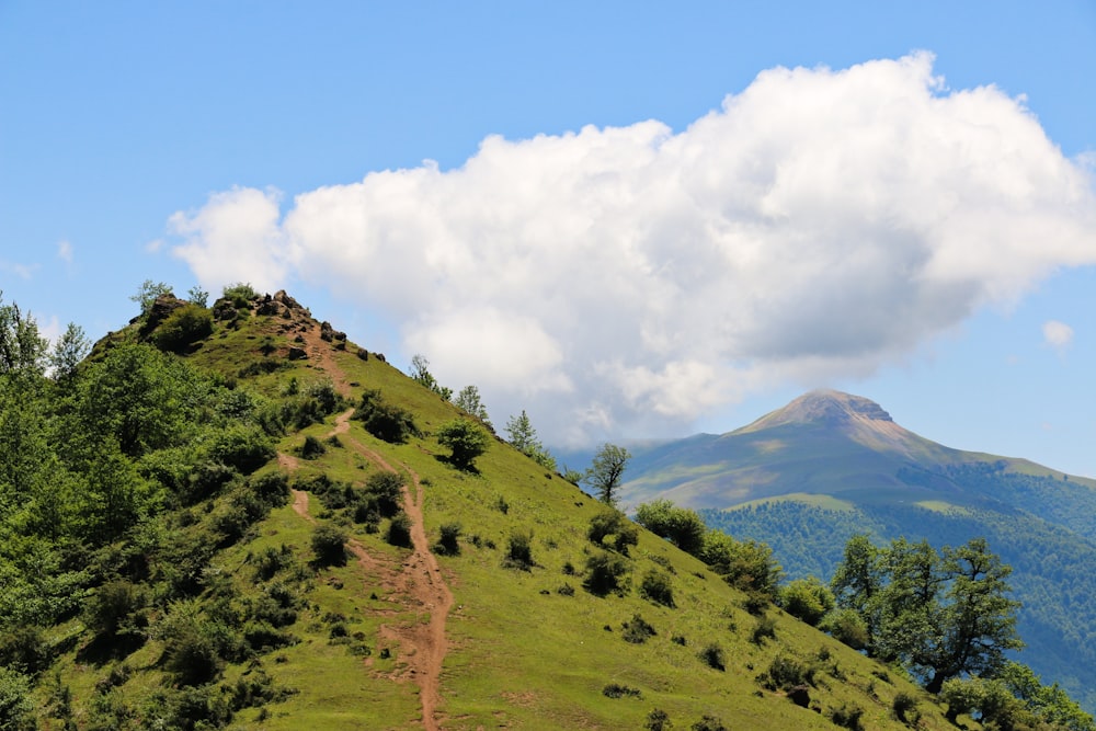 a landscape with trees and hills