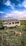 Several safari vehicles are parked on a grassland, with a lion lying in the foreground. The sky is mostly clear with some wispy clouds. A few people are observed on top of one of the vehicles.