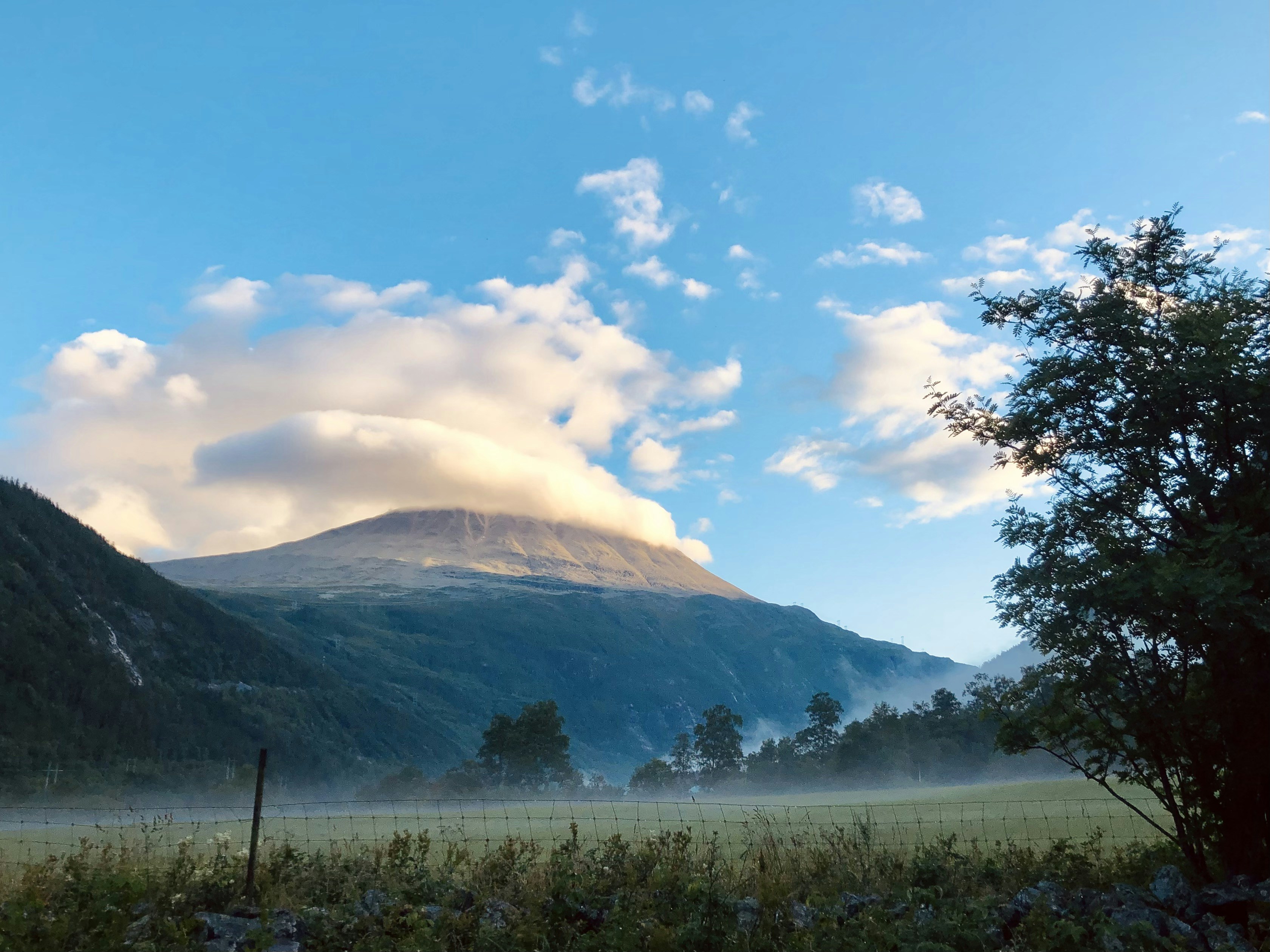a landscape with hills and trees