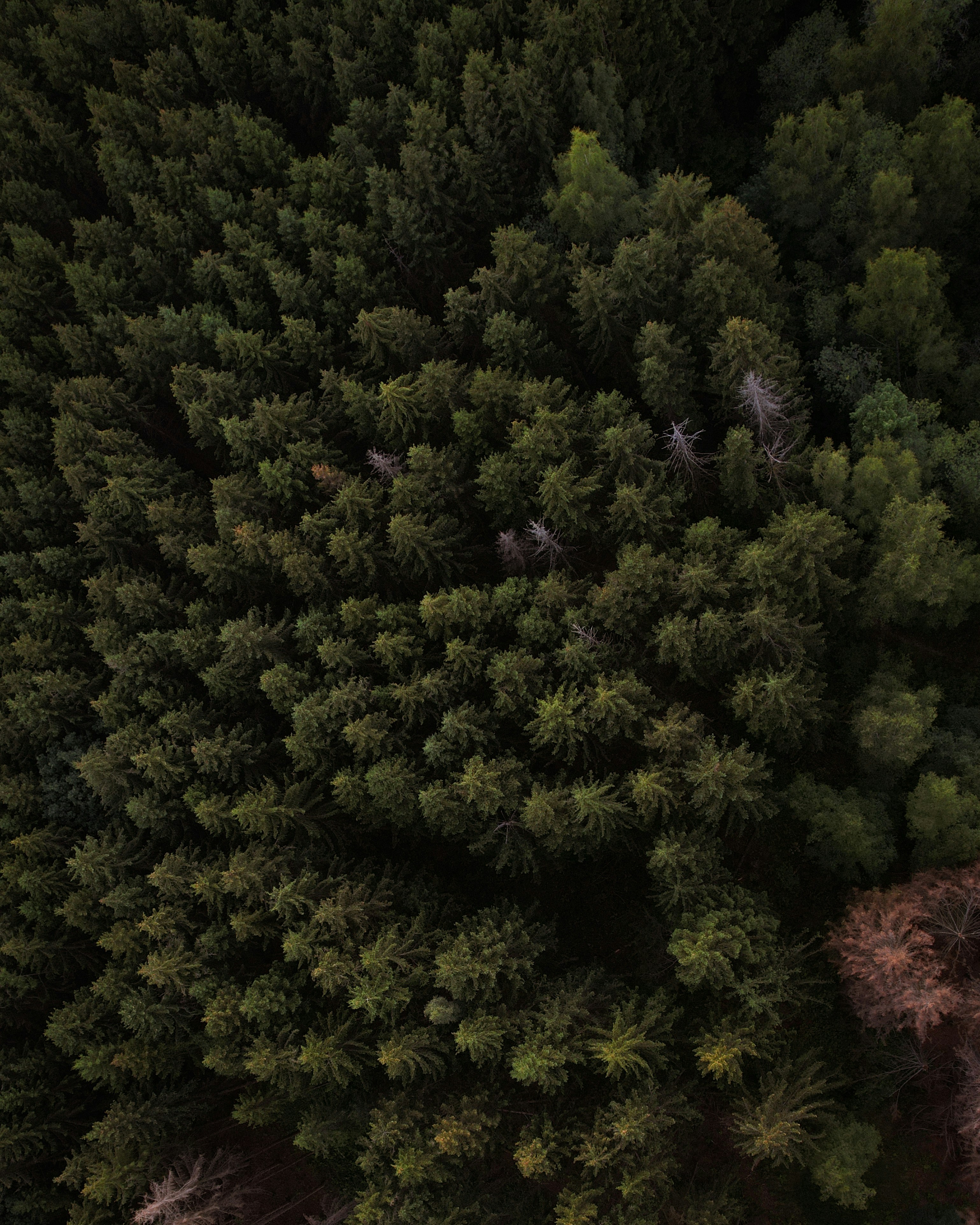 Photo by mortezakhalili